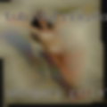 Swingers Gallatin